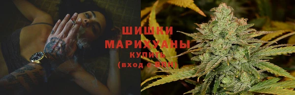 шишки Вязники